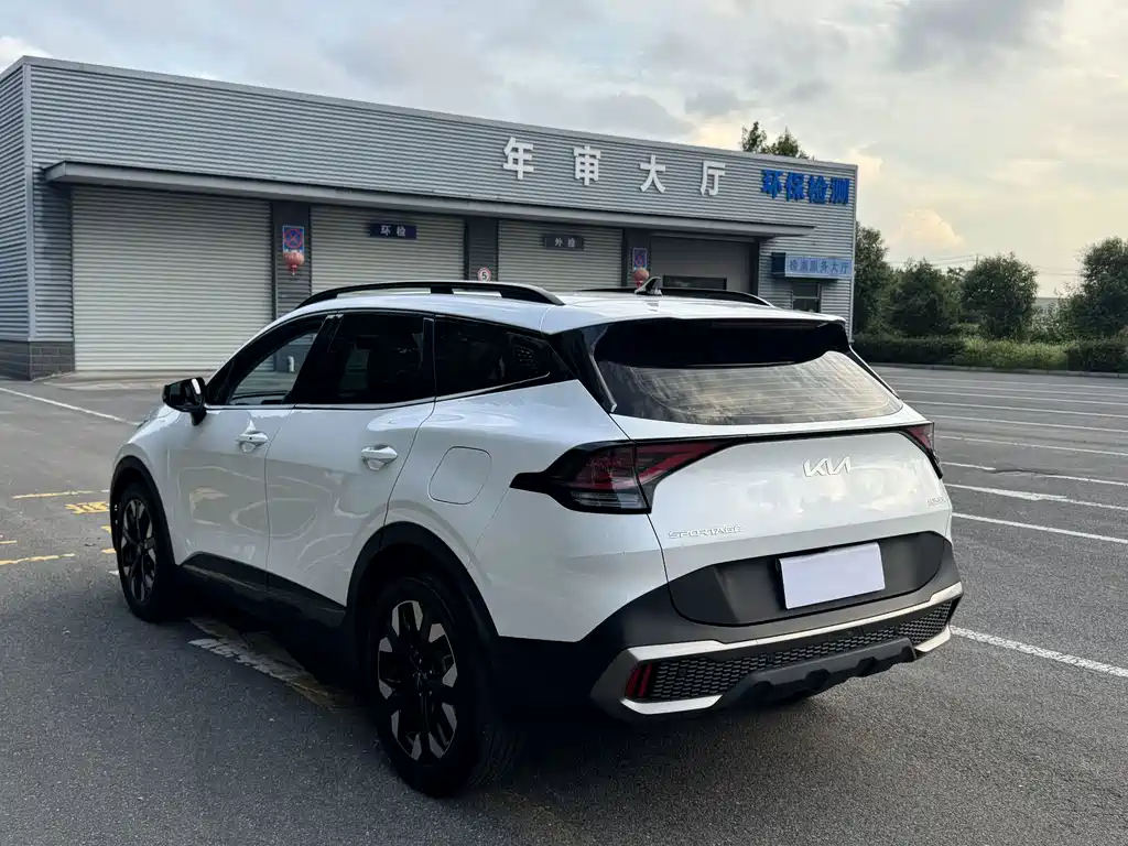 Kia Lion Platinum Expands The Boundary 2024 — фото 4