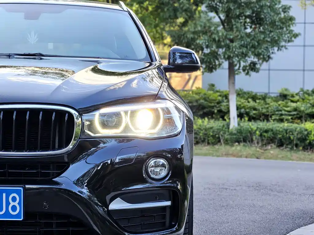 BMW X6 2016 — фото 21