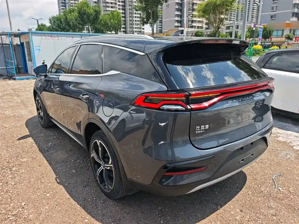 BYD Tang New Energy 2022 — фото 5