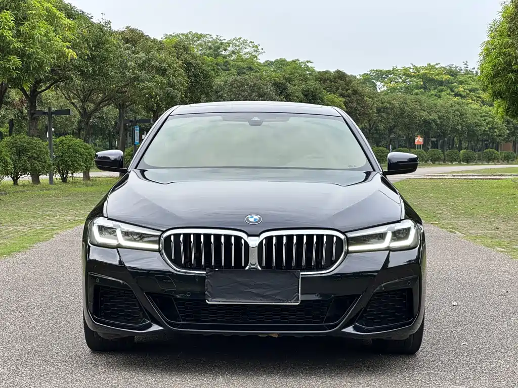 BMW 5 Series 2021
