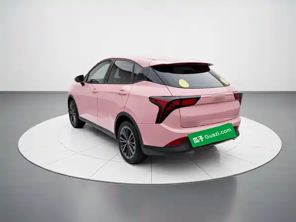 Neta V 2021