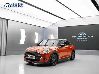 MINI MINI 2020