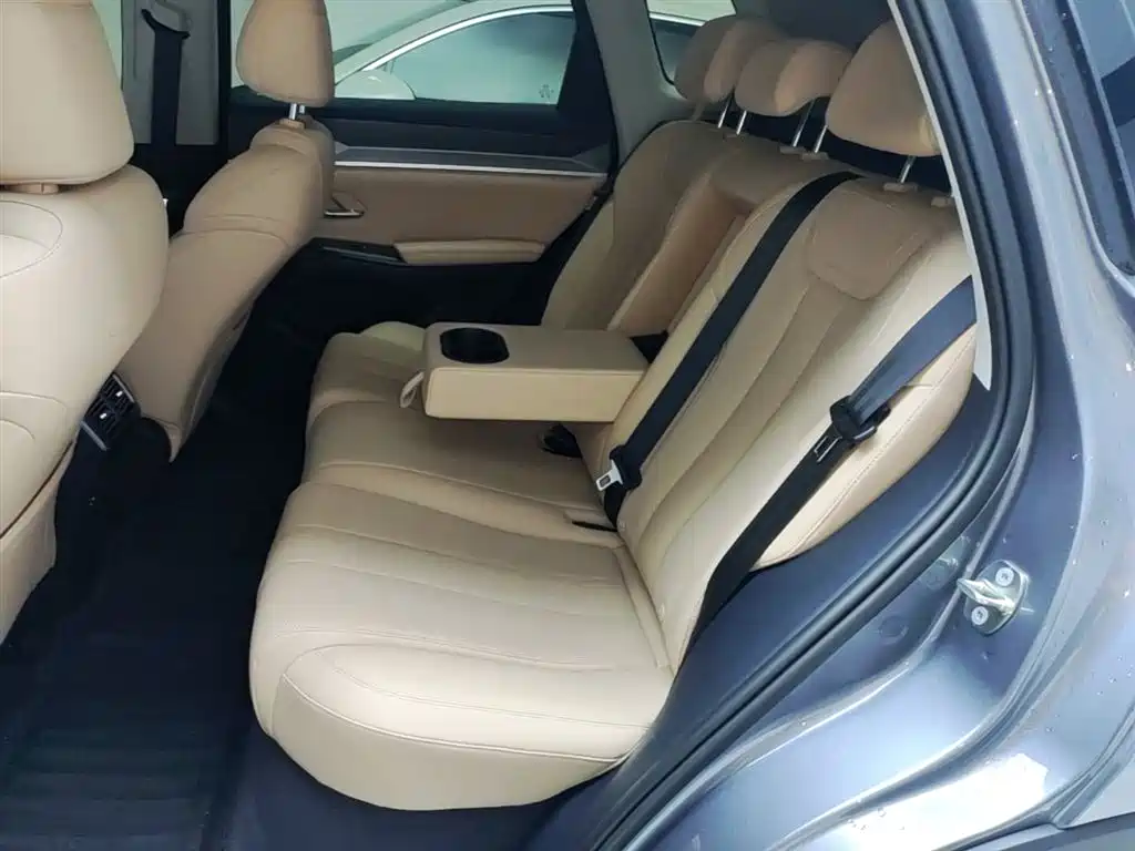 BYD Pro New Energy 2025 — фото 17