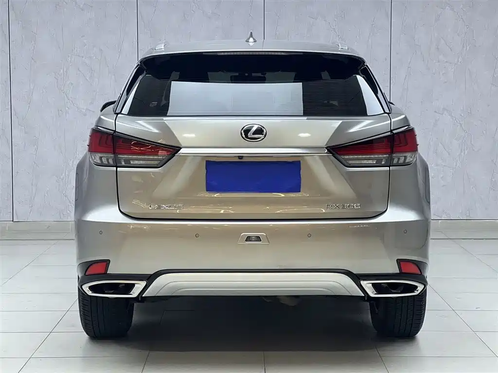 Lexus RX 2021 — фото 11