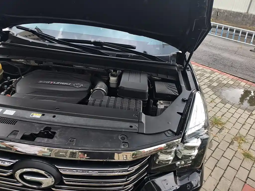 GAC Trumpchi GS8 2020 — фото 21