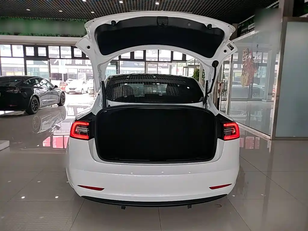 Tesla Model 3 2021 — фото 19