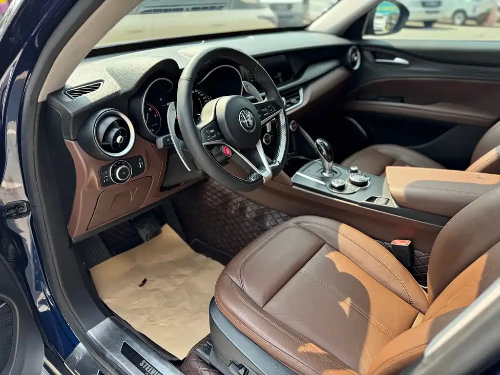 Alfa Romeo Stelvio 2019 — фото 9