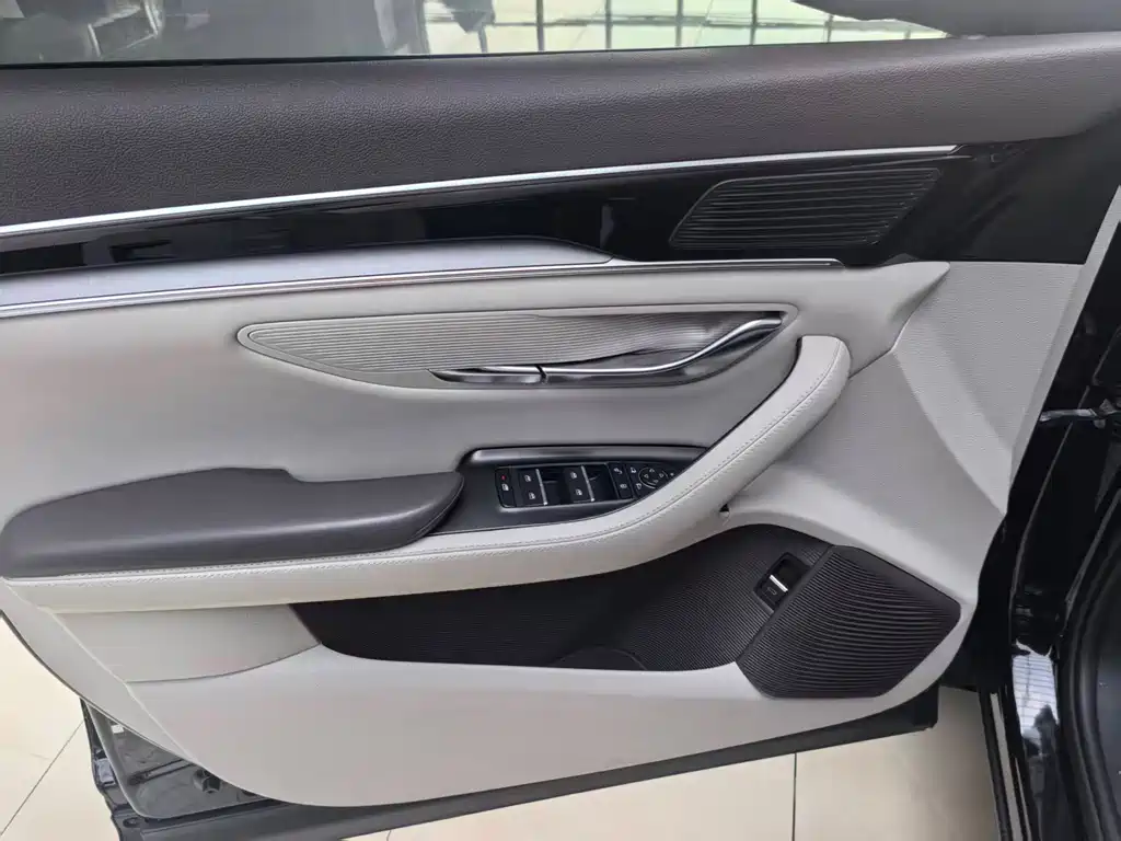 BYD Song PLUS New Energy 2024 — фото 20