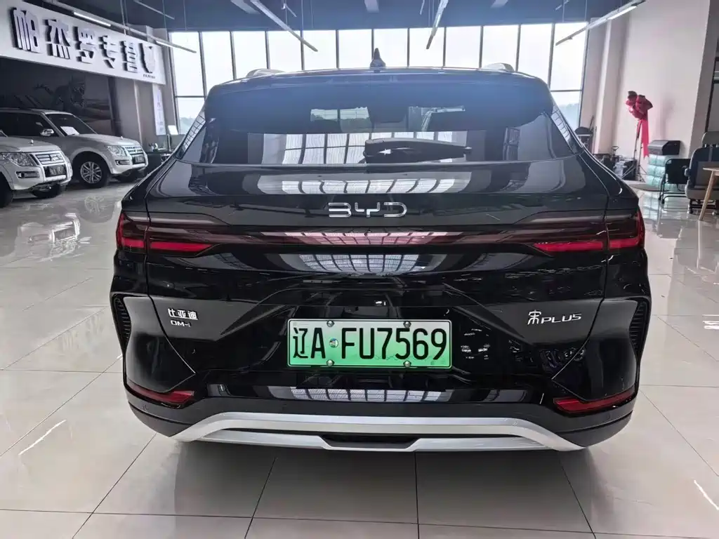 BYD Song PLUS New Energy 2024 — фото 5