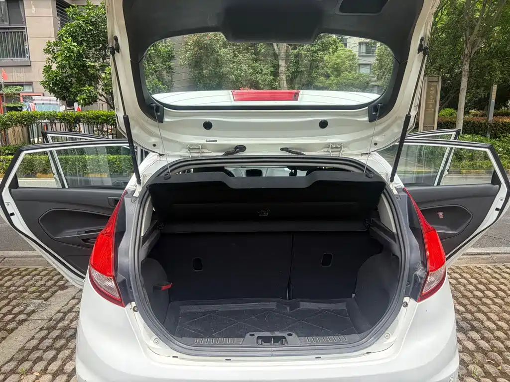 Ford Fiesta 2014 — фото 19