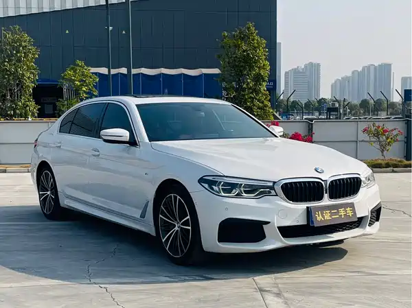 BMW 5 Series 2020