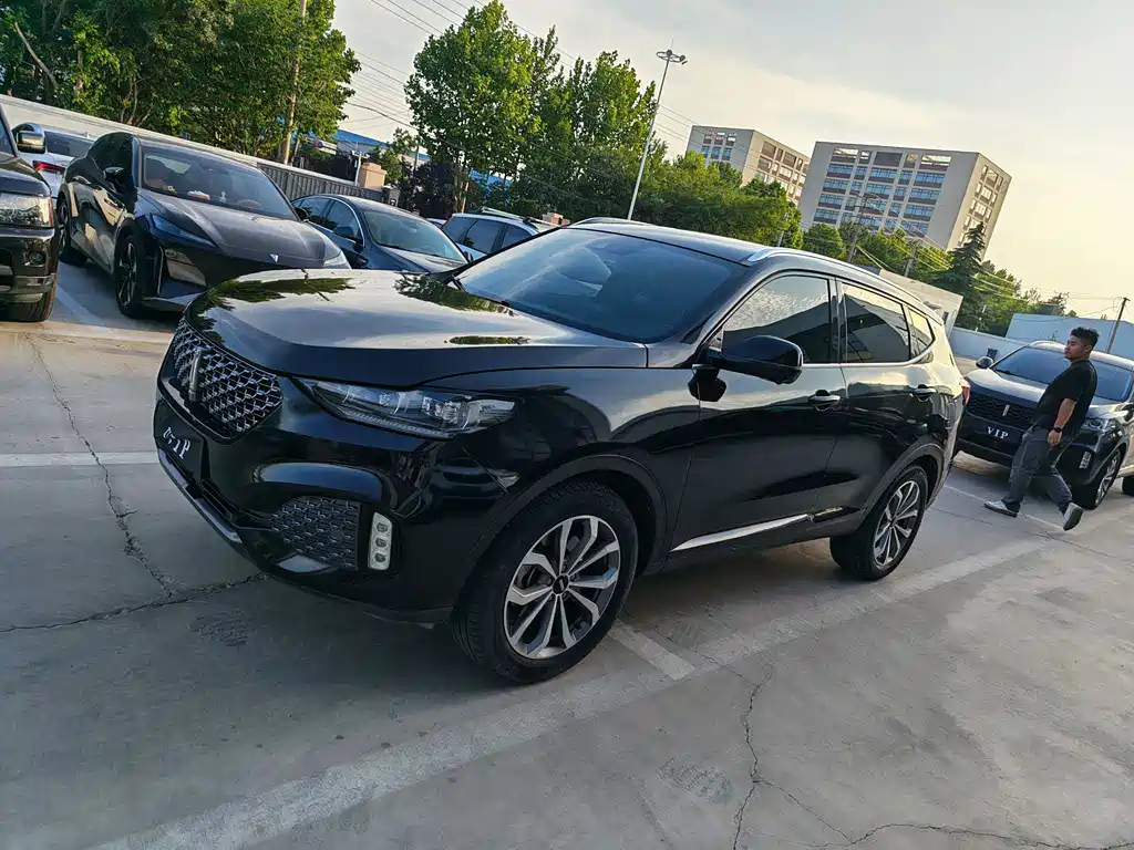 Wey VV6 2020