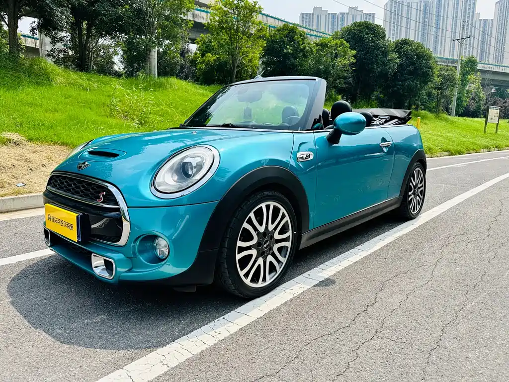 MINI MINI 2018 — фото 1