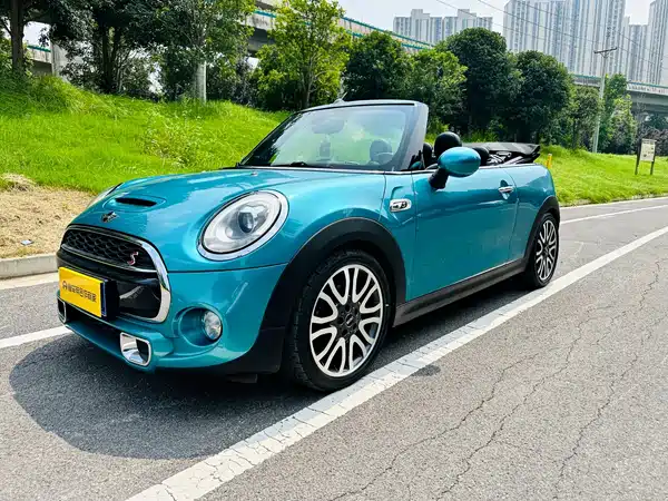 MINI MINI 2018