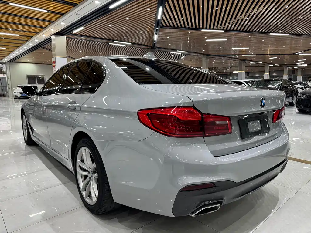 BMW 5 Series 2019 — фото 6