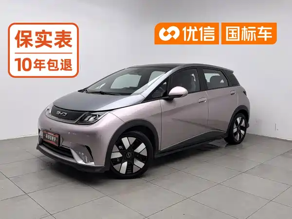 BYD Dolphin 2022