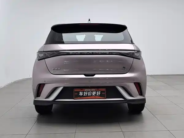 BYD Dolphin 2022
