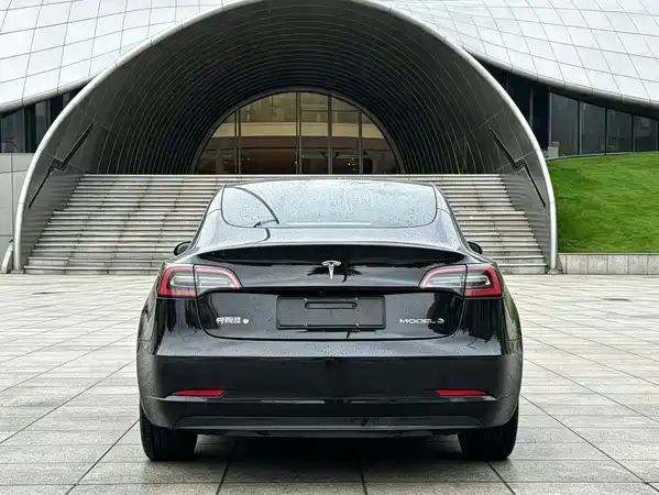 Tesla Model 3 2020