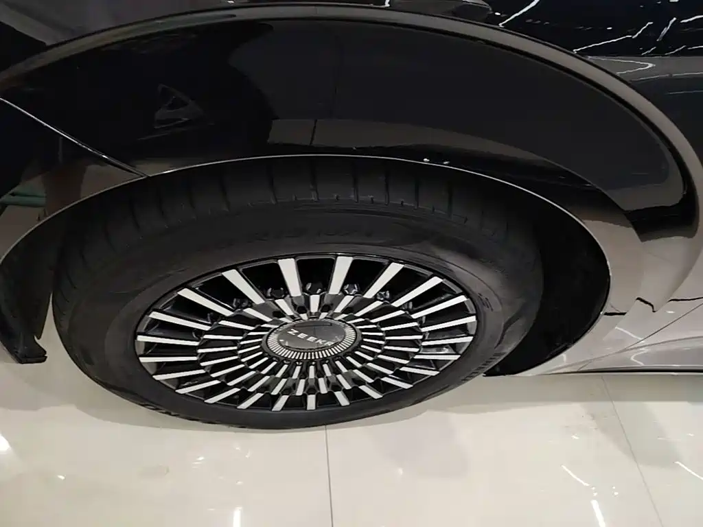 Zeekr 009 2024 — фото 23