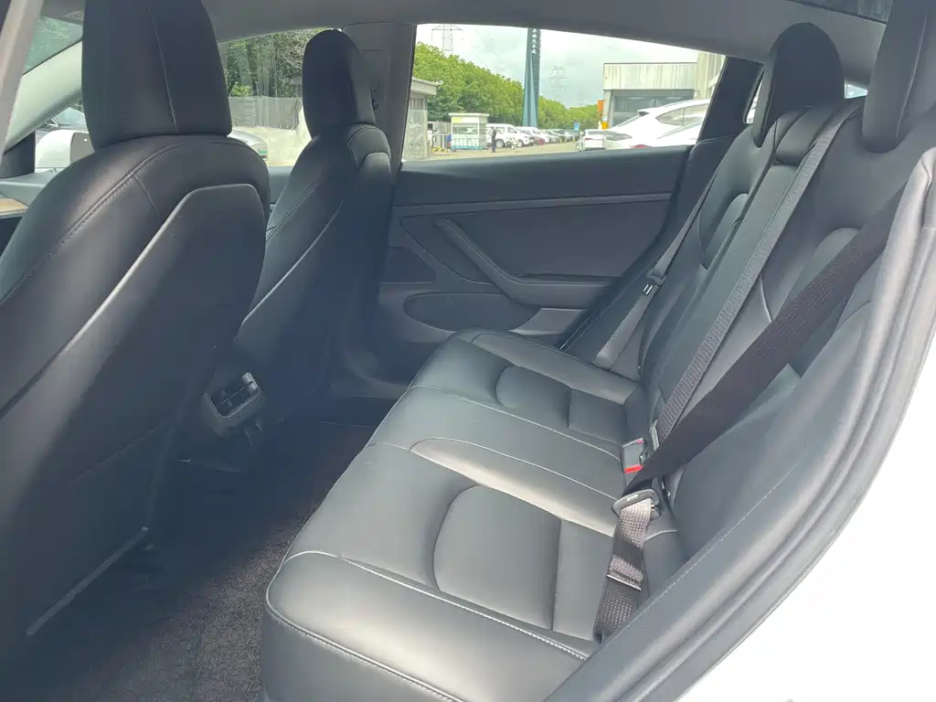 Tesla Model 3 2019