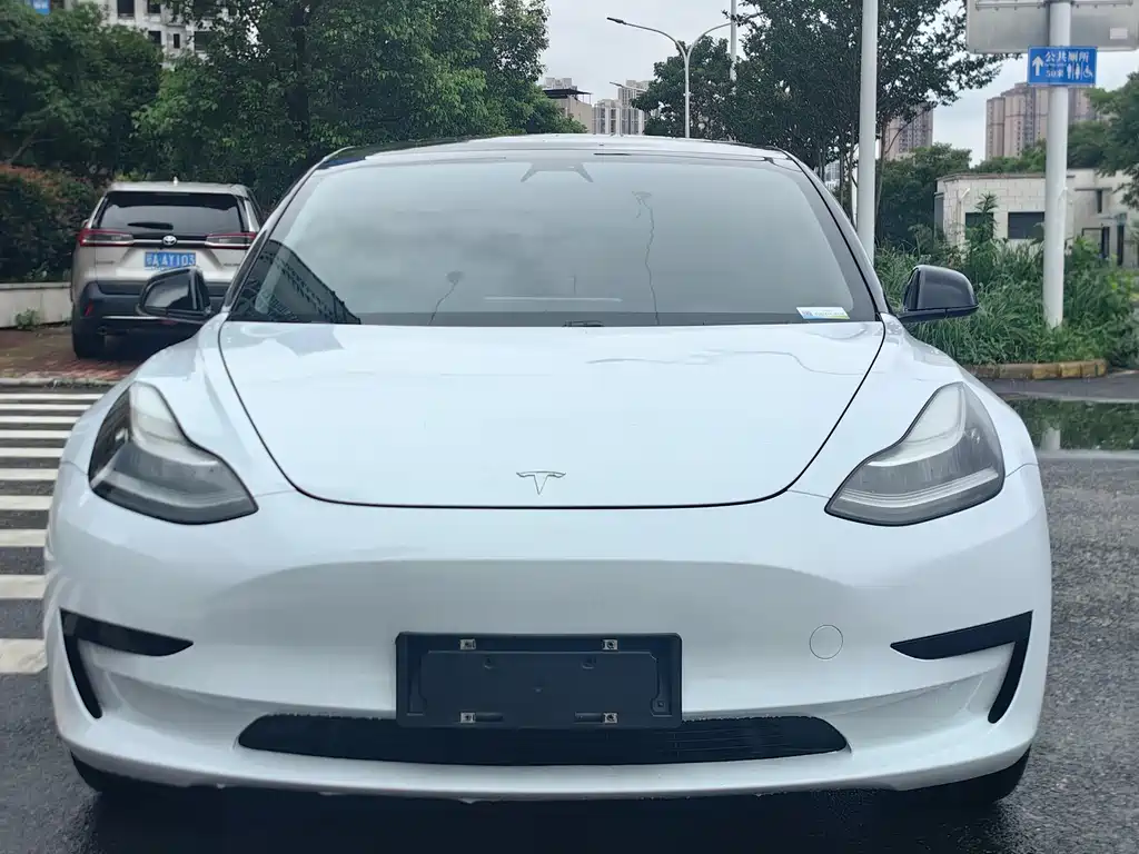 Tesla Model 3 2020 — фото 2