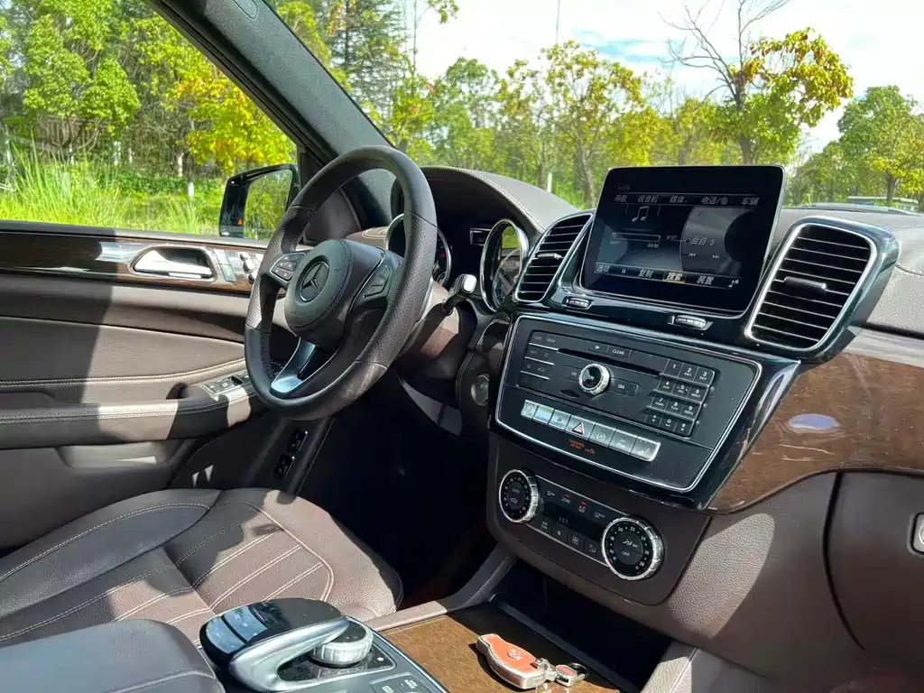 Mercedes-Benz GLS 2018 — фото 20