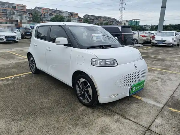 Ora White Cat 2021