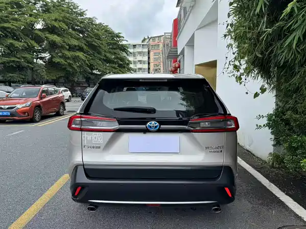Toyota Wildlander 2021