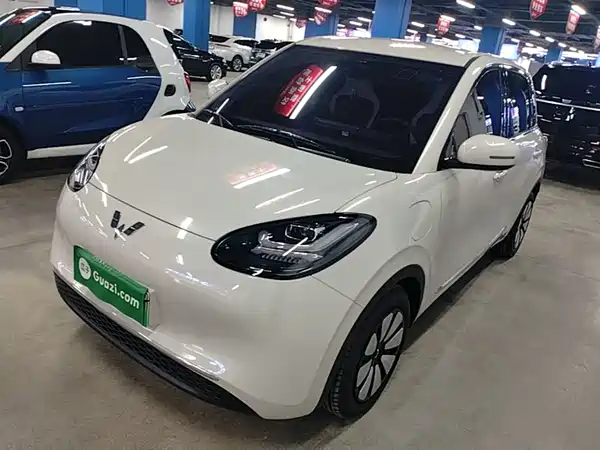 Wuling Bingo 2024