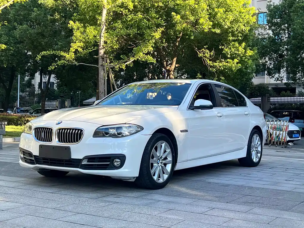 BMW 5 Series 2014 — фото 3
