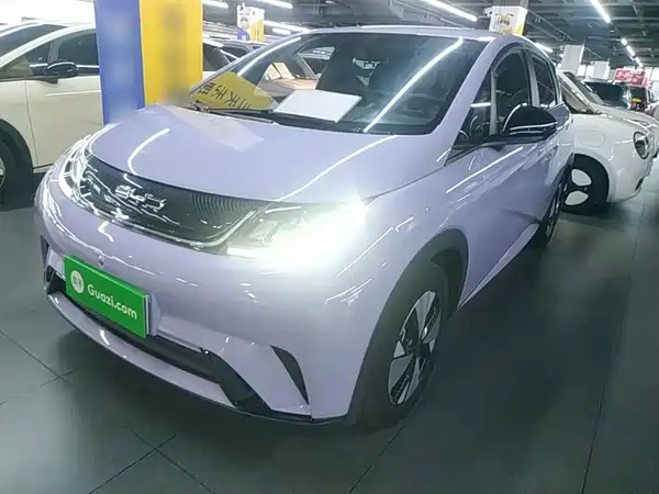 BYD Dolphin 2024