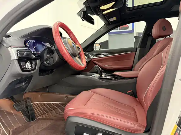 BMW 5 Series New Energy 2022