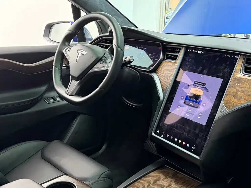 Tesla Model X 2020 — фото 14
