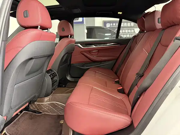 BMW 5 Series New Energy 2022