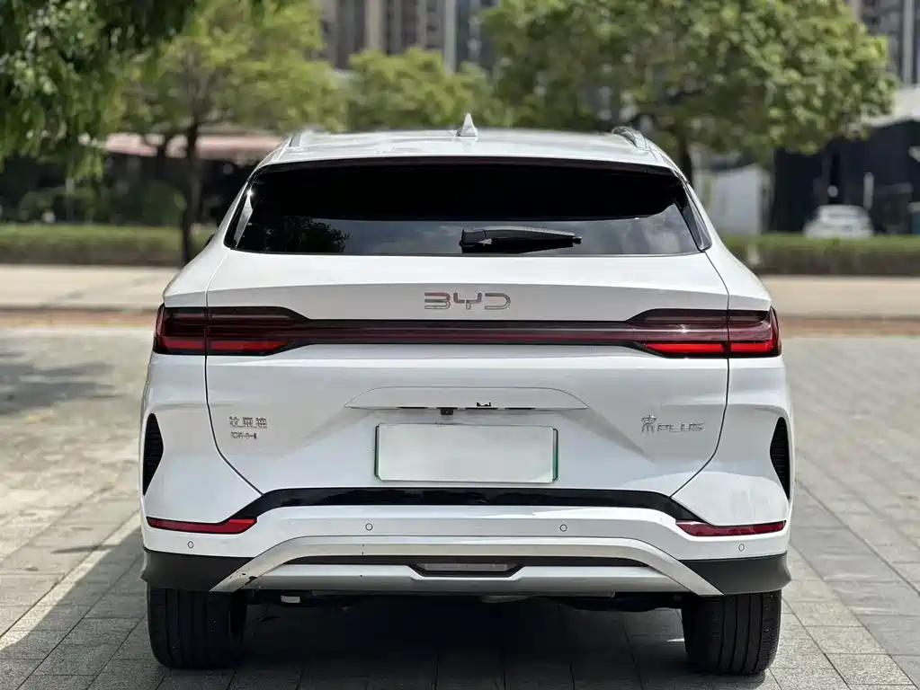 BYD PLUS New Energy 2024 — фото 8
