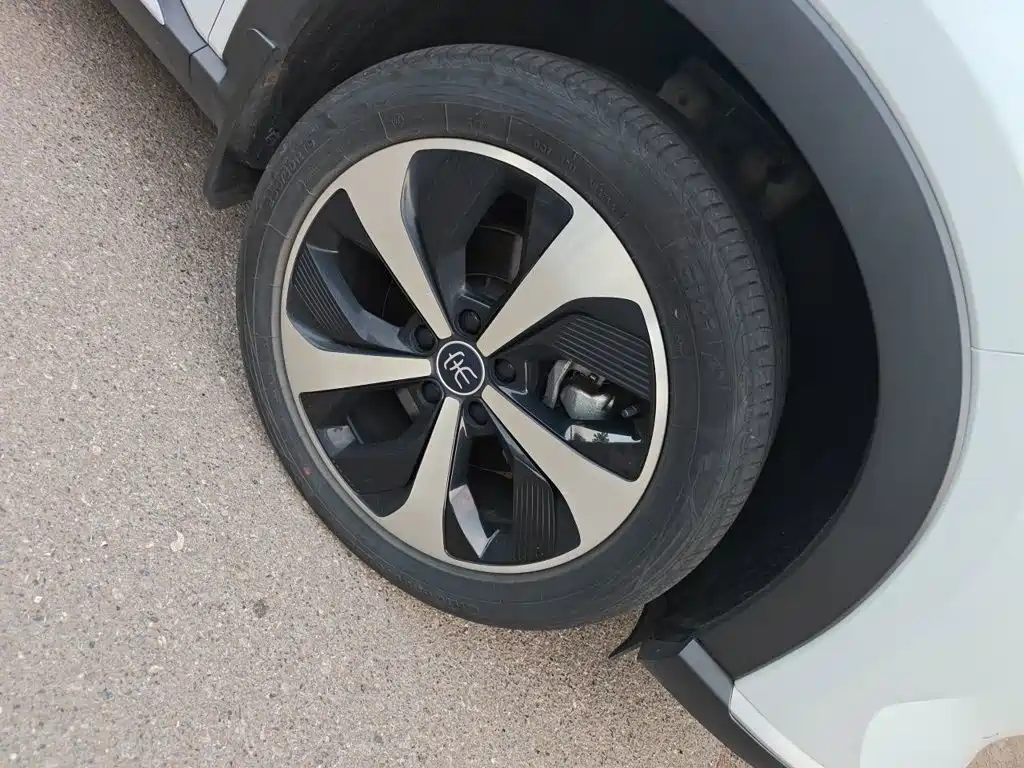 BYD Song PLUS New Energy 2023 — фото 8