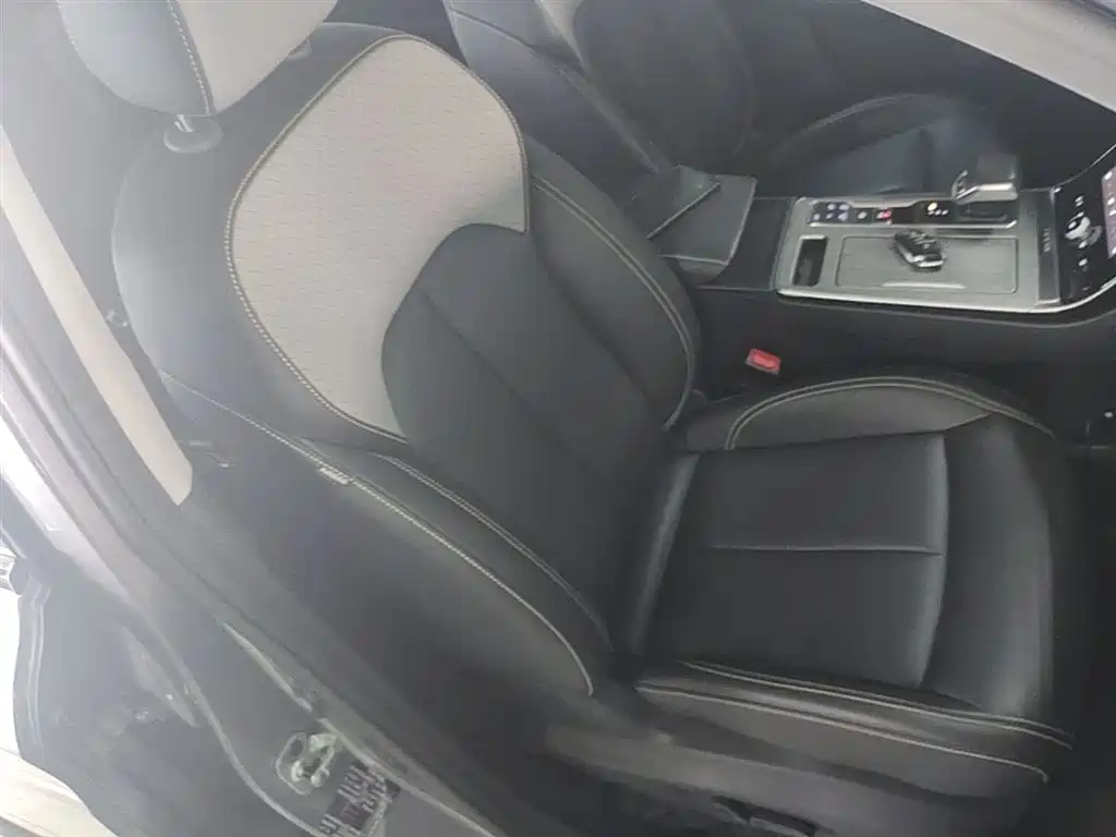 Roewe RX5 New Energy 2020 — фото 25