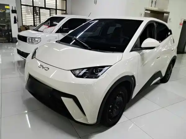 BYD Seagull 2024