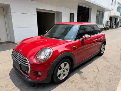 MINI MINI 2015