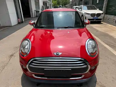 MINI MINI 2015