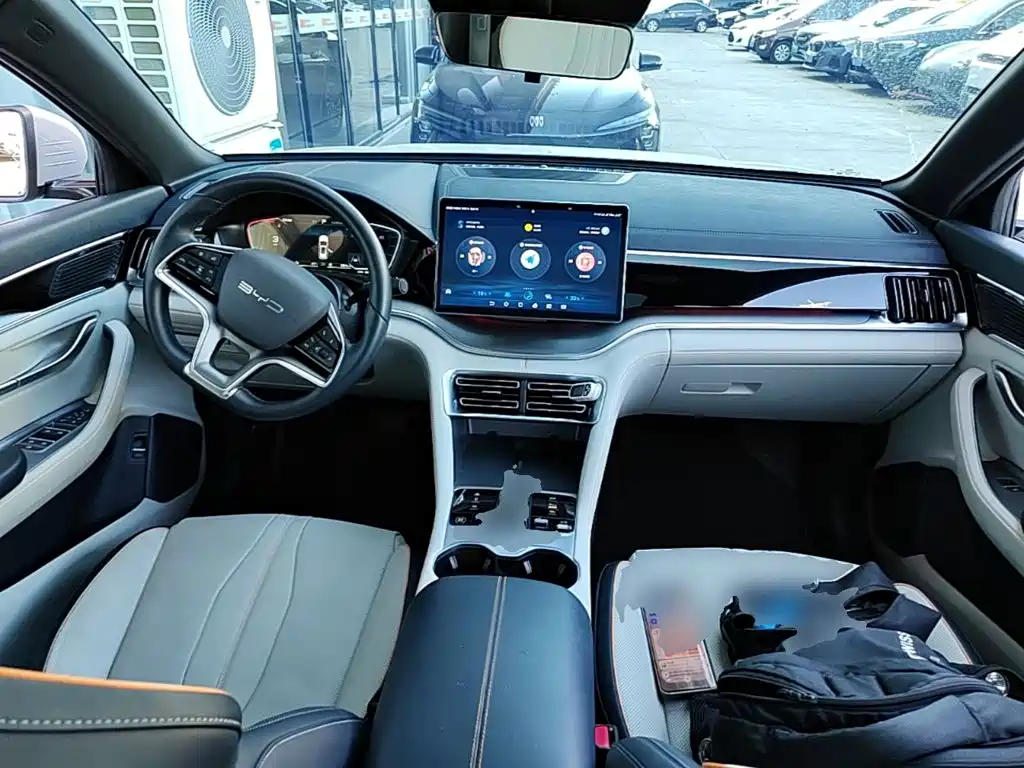BYD Song PLUS New Energy 2023 — фото 10