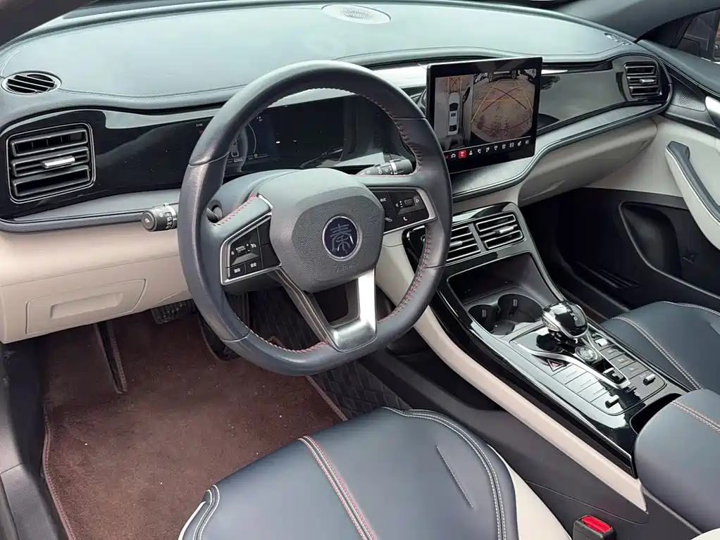 BYD Qin PLUS 2023 — фото 14