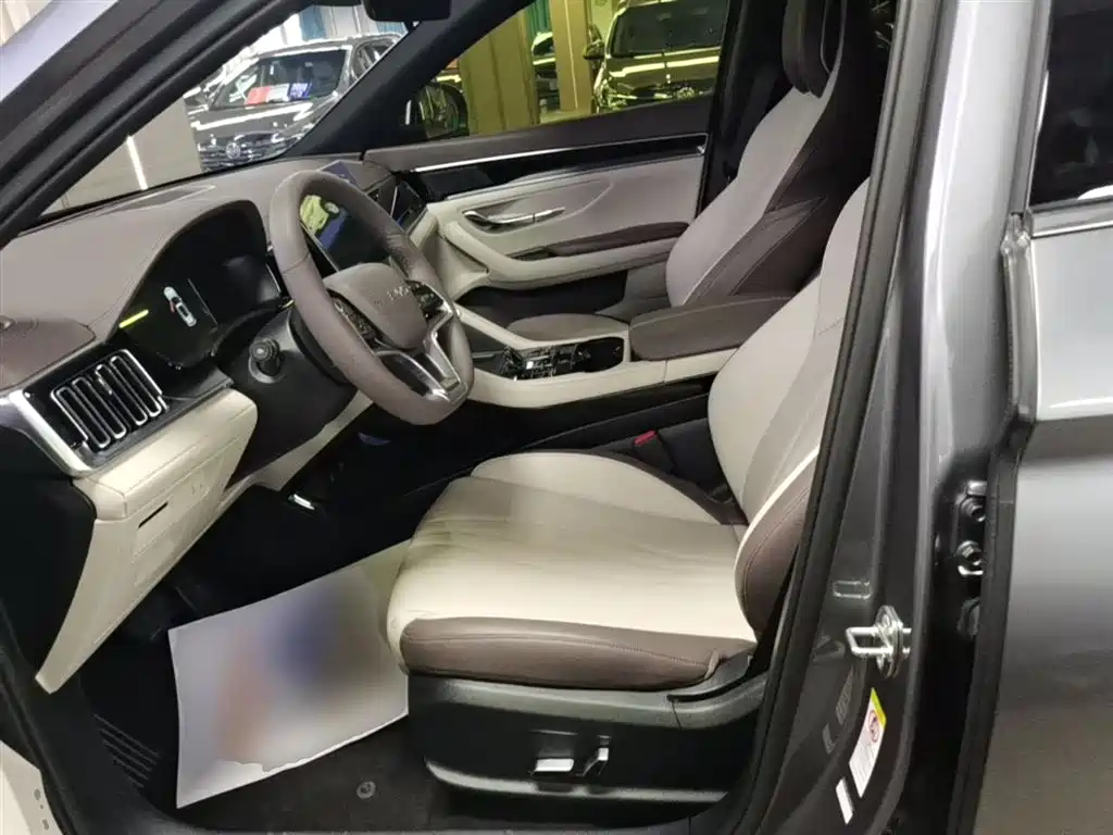 BYD Song PLUS New Energy 2025 — фото 15
