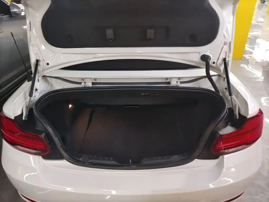 BMW 2 Series 2019 — фото 19