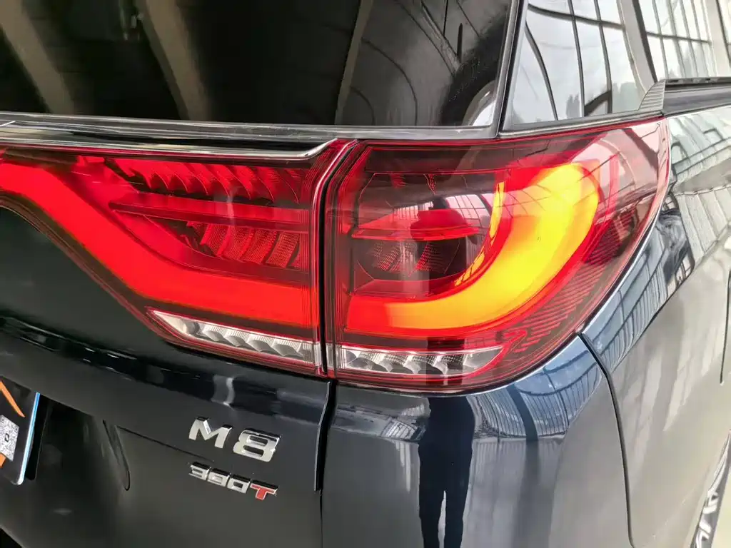 GAC Trumpchi M8 2023 — фото 18