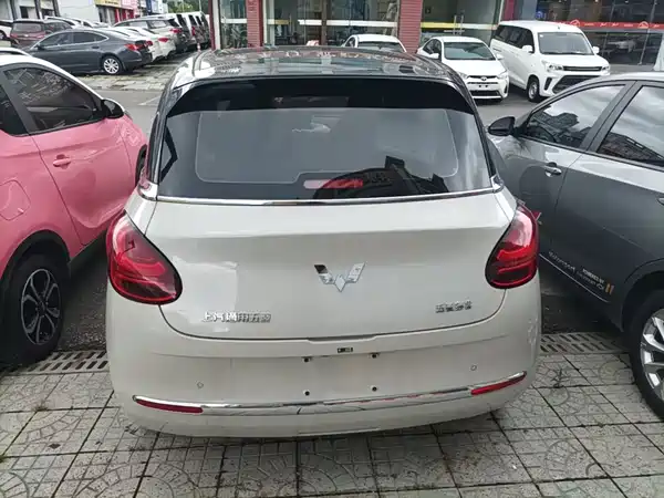 Wuling Bingo 2024