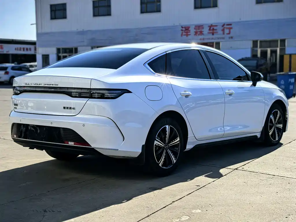 BYD Destroyer 05 2023 — фото 4