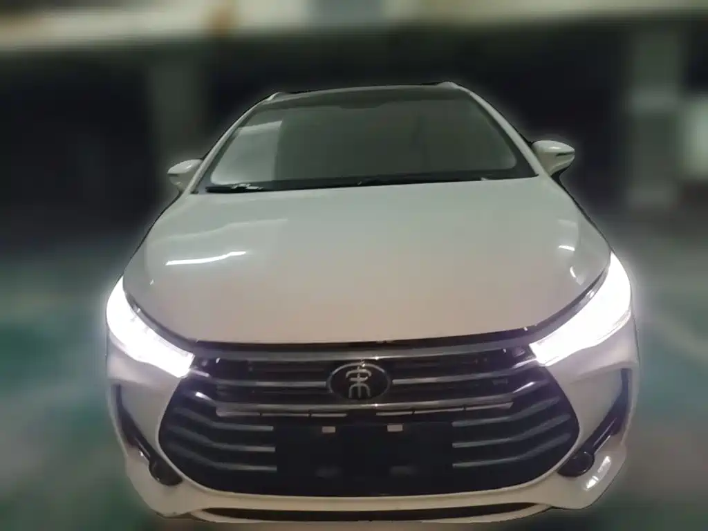 BYD MAX 2019