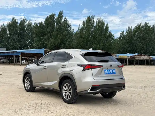 Lexus NX 2019