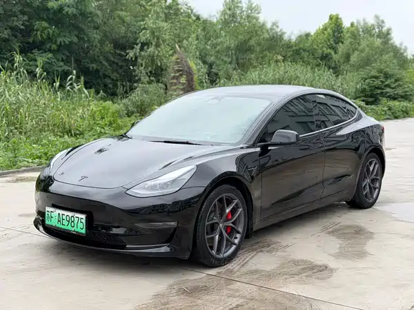 Tesla Model 3 2022